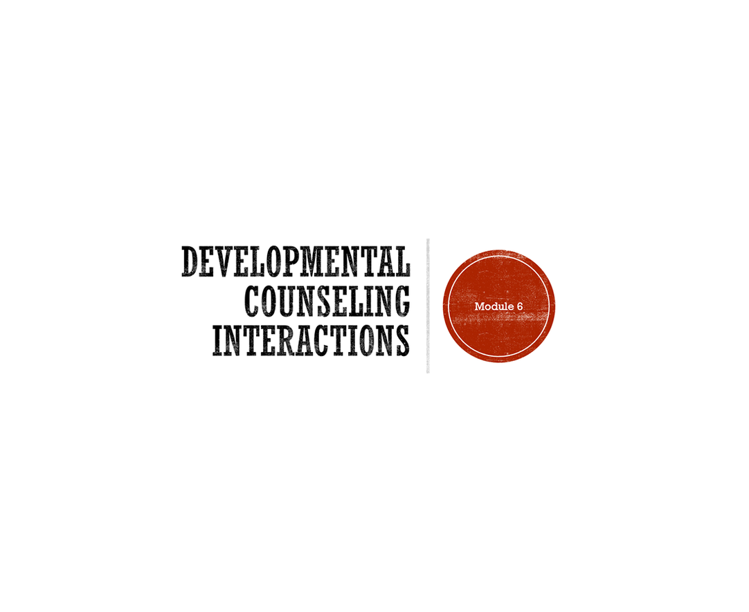 Developmental Counseling Interactions